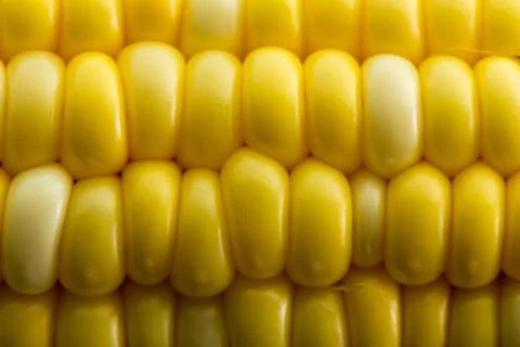 Macro background texture of fresh corn kernels Stock Photos