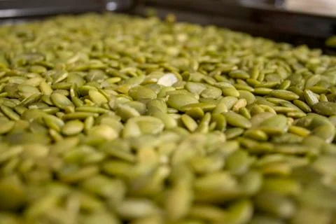 Macro background texture of green pumpkin seeds Stock Photos