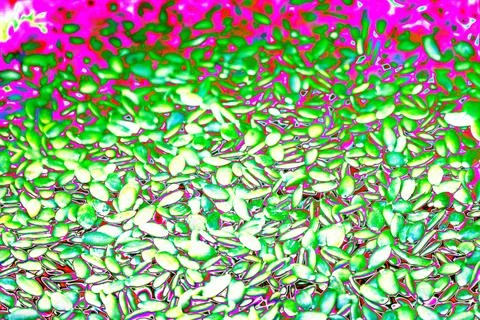 Macro background texture of green pumpkin seeds. Changed color scheme. Colo.. Stock Photos