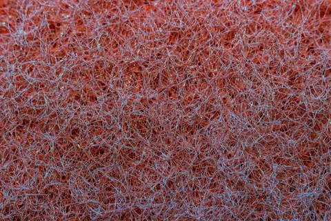 Macro background texture Foto stock