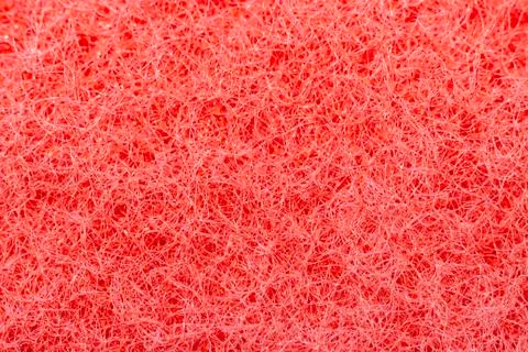 Macro background texture Foto stock