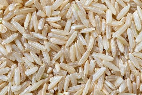 A macro background texture portrait of a pile of uncooked raw hard whole rice Stock Photos