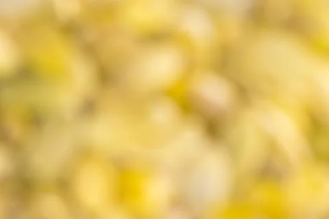 Macro background texture of pumpkin seeds Stock Photos