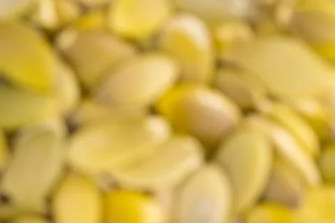 Macro background texture of pumpkin seeds Stock Photos