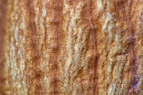 Macro backgrounds of natural and artificial fabric Stock Photos