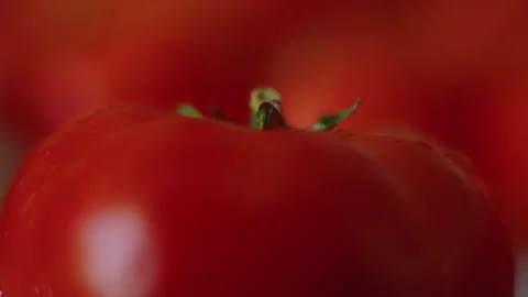 Macro, backward movement, ripe red tomatoes lying on the kitchen table after Stock Footage 219722214