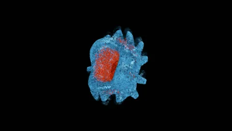 Macro Bacterium On Transparent With Tentacles Stock Footage 121007879