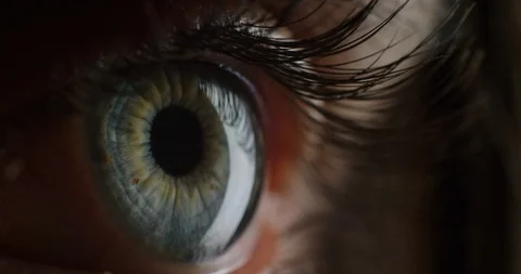 Macro beauty human eye light revealing iris contracting close up Stock Footage