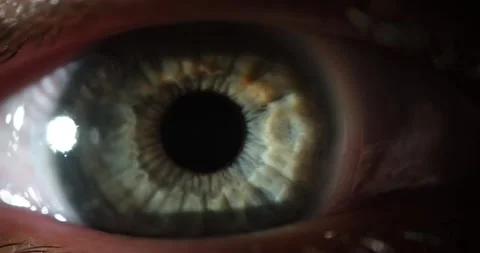 Macro beauty opening gray eye looks frightened blinking healthy vision closeup Video stock 200817156