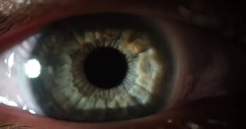Macro beauty opening gray eye looks frightened blinking healthy vision closeup Stock Footage 256777804