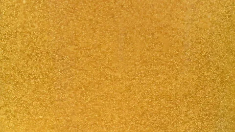Macro Beer Bubbles Rising in Glass with Golden Liquid and Foam Stock Footage 342969512
