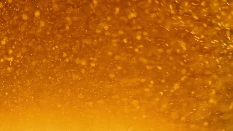 Macro Beer Bubbles Rising in Glass with Golden Liquid and Foam Stock Footage 342969611