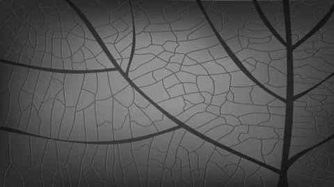 Macro black leaf texture background Stock Illustration