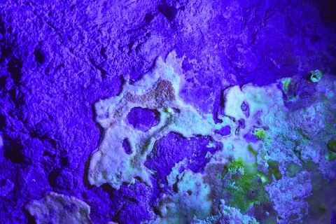 Macro Black Light Mineral Textures in Vibrant Cave Wall Nevada Stock Photos