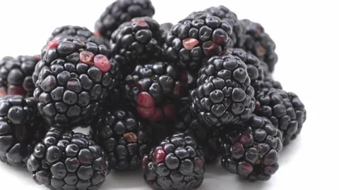 Macro Blackberry Cluster With Dark and Red Ripening Drupelets in 4K Video stock 348218697