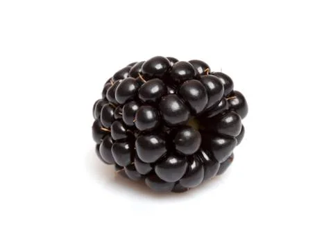 Macro Blackberry 库存照片
