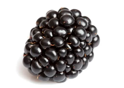 Macro blackberry Фото