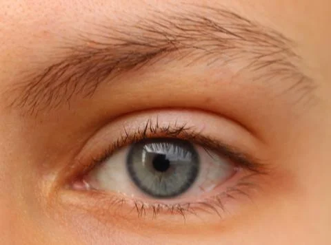 Macro blue eye. Gray-blue eyes. Closeup. Stock Photos