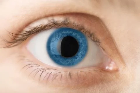 Macro of blue human eye Stock Photos