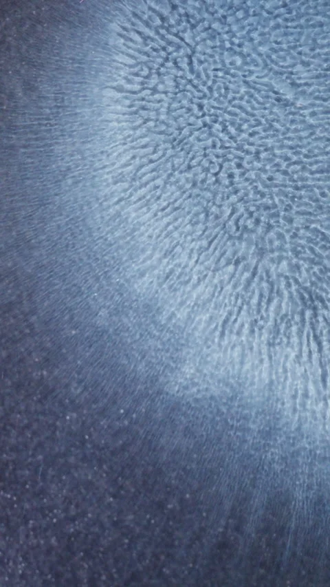 Macro Blue Ink Spreading and Creating Organic Patterns on White Background Stock Footage 340416645