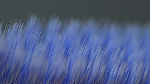 Macro Blue toothbrush bristles light sweep shadow isolated Stock Footage 119079244