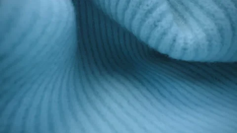 Macro blue wool fabric warm pullover. Dolly close-up winter clothing texture Stock Footage 233599285