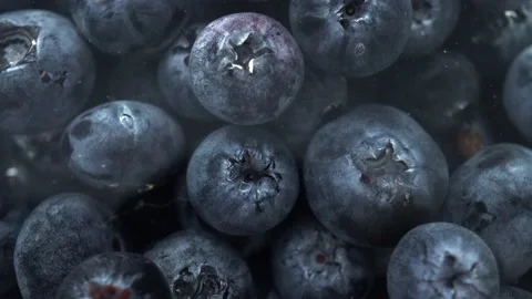 Macro blueberries 4k Stock Footage 229428246