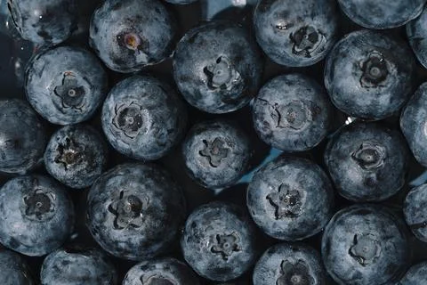 Macro blueberry background Stock Photos