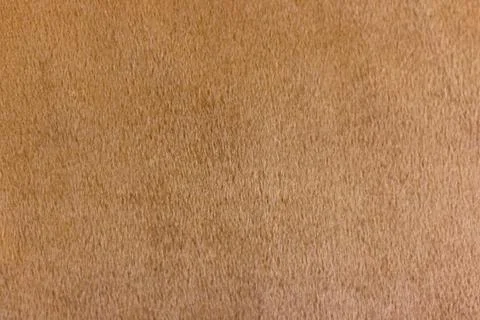 Macro blurred brown fabric texture for background 스톡 사진