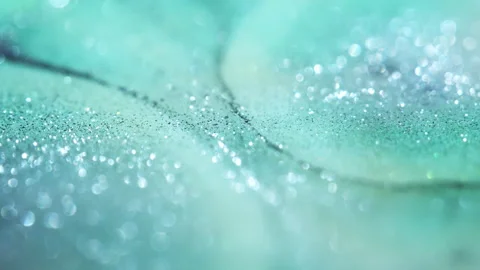 Macro bokeh of shimmering glitter particles in vibrant fluid motion Stock Footage 331751411