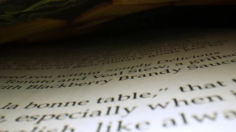 Macro book pages Stock Footage 105463047