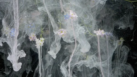 Macro botanical focus showing textured petals and smooth flowing ink patterns Stock Footage 332355074