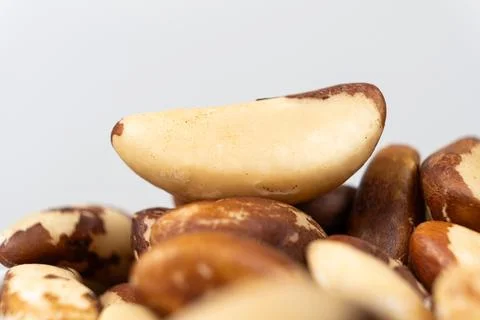Macro brazil nuts on light grey background. Stock Photos