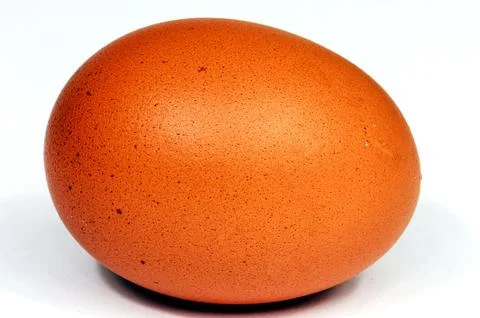 Macro of brown egg isolated on a white background Stock Photos