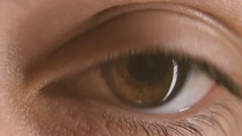 Macro brown eyes of a boy Stock Footage 120543055