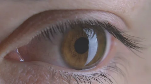 Macro brown eyes of a boy Stock Footage 120543586