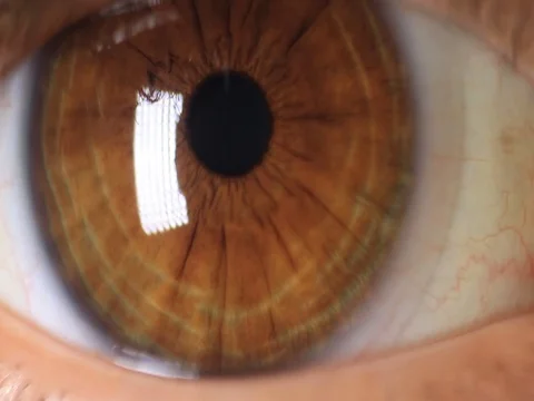 Macro brown eyes Stock Footage 70875109