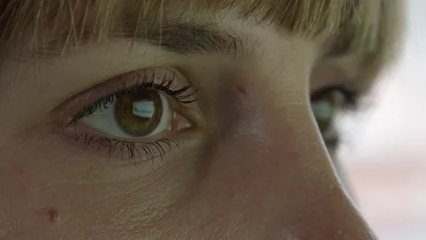 MACRO: Brown female eyes looking into the screen reflecting charts on monitor Stock-Footage 73501965