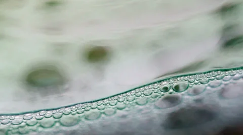 Macro Bubbles Stock Footage 32940033
