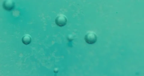 Macro Bubbles moving in green/blue atmosphere 21b 스톡 동영상 188416978