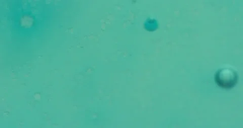 Macro Bubbles moving in green/blue atmosphere 21b 스톡 동영상 188417166