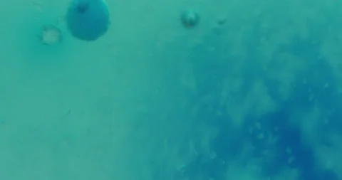 Macro Bubbles moving in green/blue atmosphere 21b 스톡 동영상 188417512