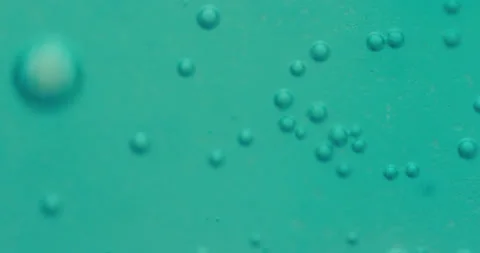 Macro Bubbles moving in green/blue atmosphere 21b 스톡 동영상 188432251