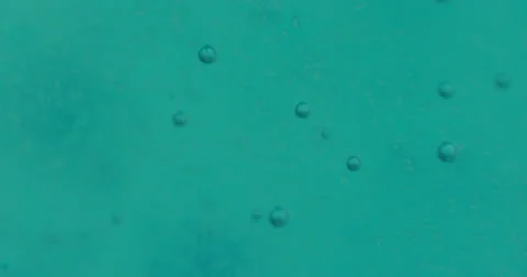 Macro Bubbles moving in green/blue atmosphere 21b 스톡 동영상 188432724