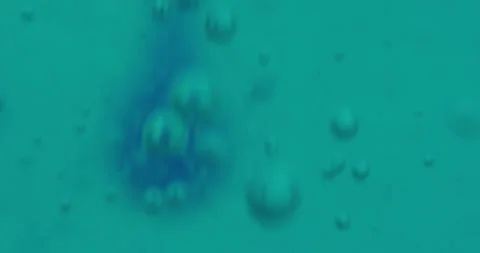 Macro Bubbles moving in green/blue atmosphere 21b 스톡 동영상 188433259