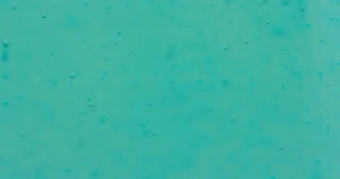 Macro Bubbles moving in green/blue atmosphere 19b 스톡 동영상 188443850