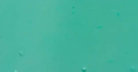 Macro Bubbles moving in green/blue atmosphere 21b 스톡 동영상 188448132