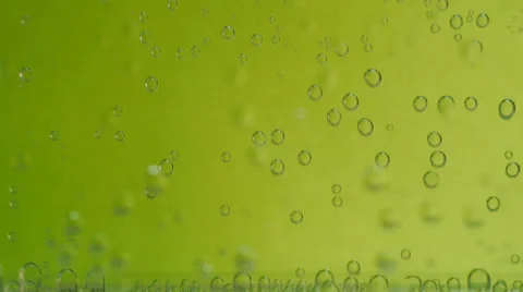 Macro bubbles of water on green background Stock Footage 36543616