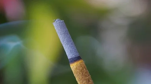 Macro of burning incense stick original speed Stock Footage