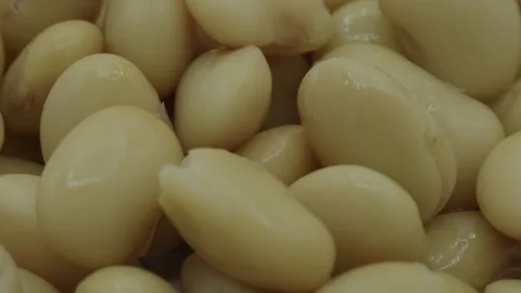Macro of Butterbeans vegetable spinning Stock Footage 230181423